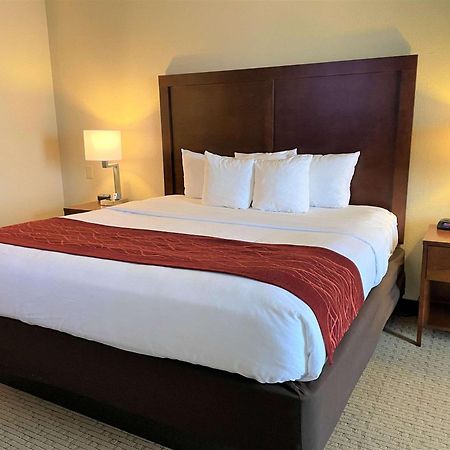Comfort Inn & Suites Rogersville Zewnętrze zdjęcie