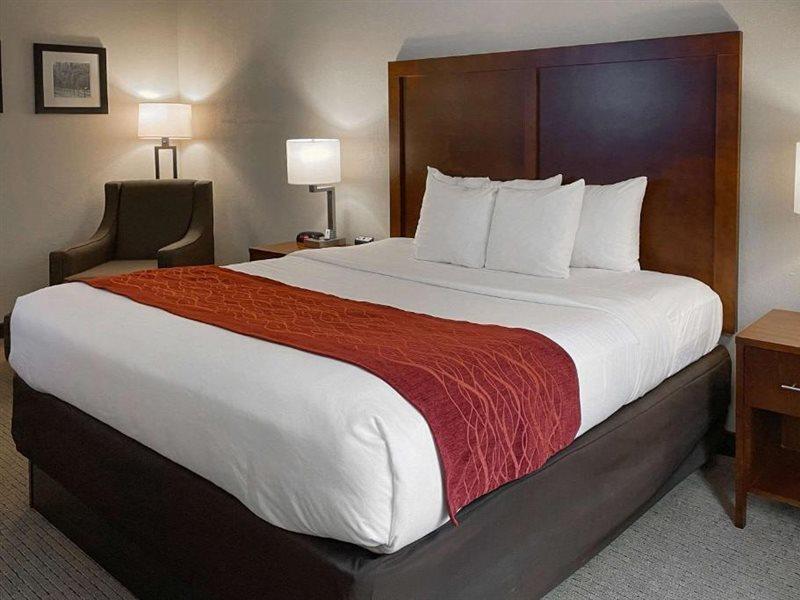 Comfort Inn & Suites Rogersville Zewnętrze zdjęcie