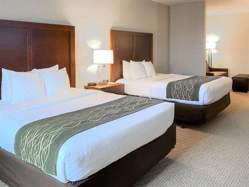Comfort Inn & Suites Rogersville Zewnętrze zdjęcie