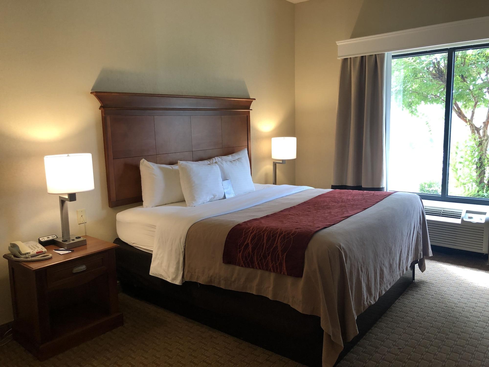 Comfort Inn & Suites Rogersville Zewnętrze zdjęcie