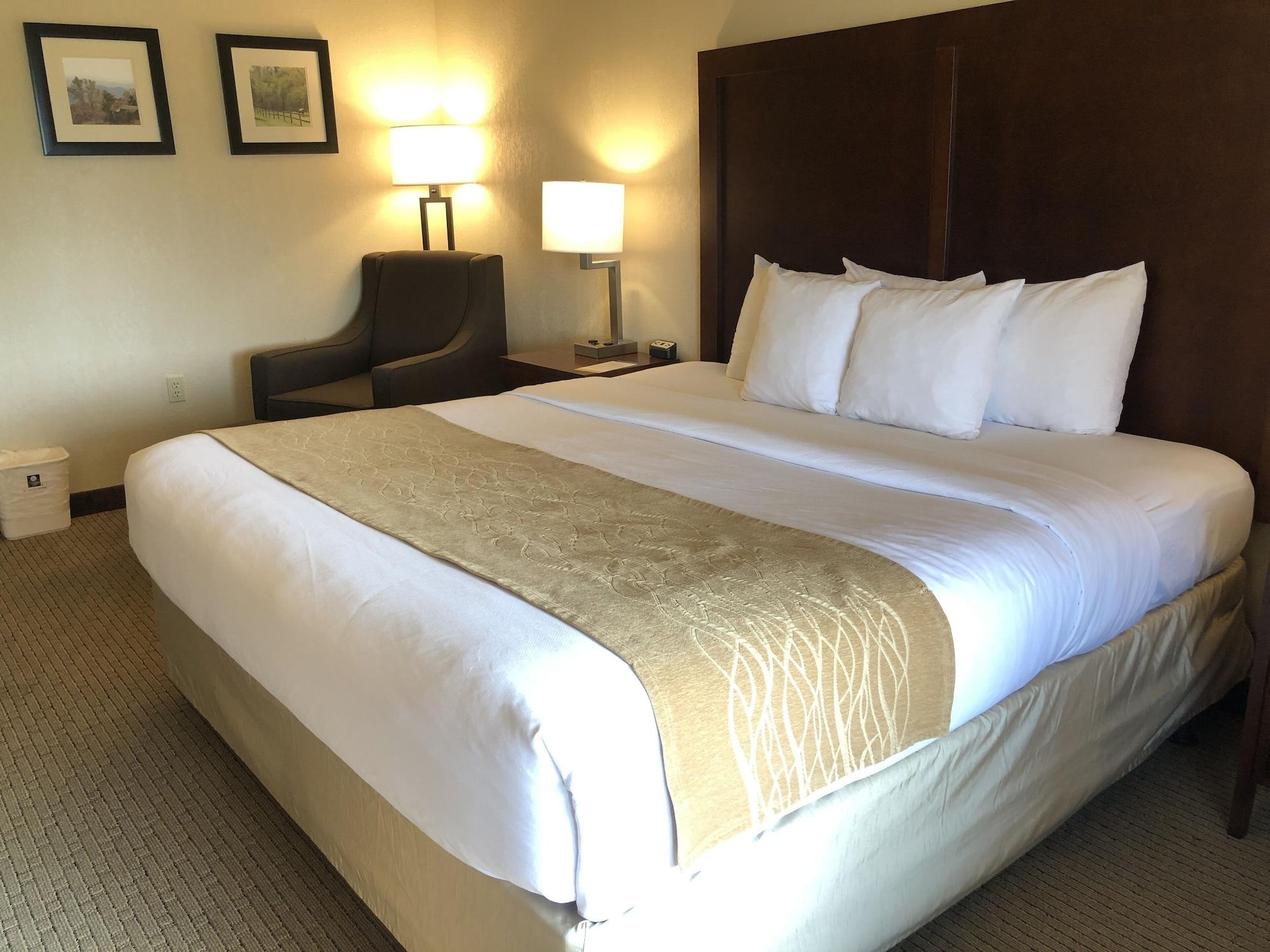 Comfort Inn & Suites Rogersville Zewnętrze zdjęcie