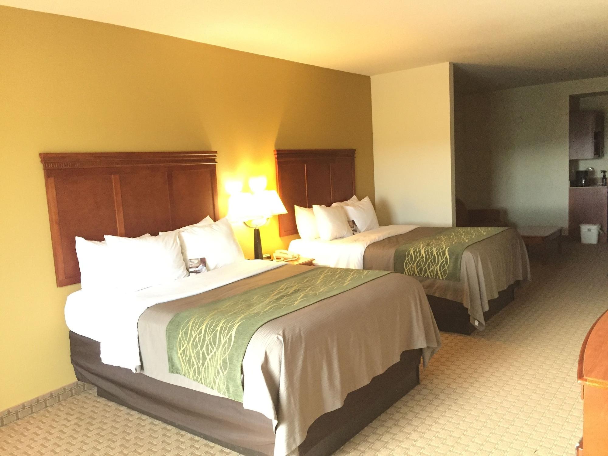 Comfort Inn & Suites Rogersville Zewnętrze zdjęcie