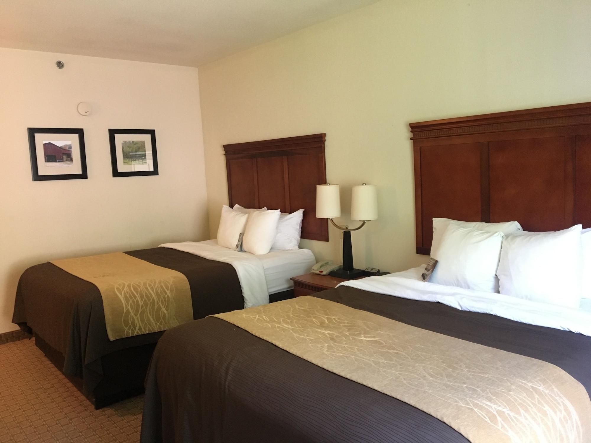 Comfort Inn & Suites Rogersville Zewnętrze zdjęcie