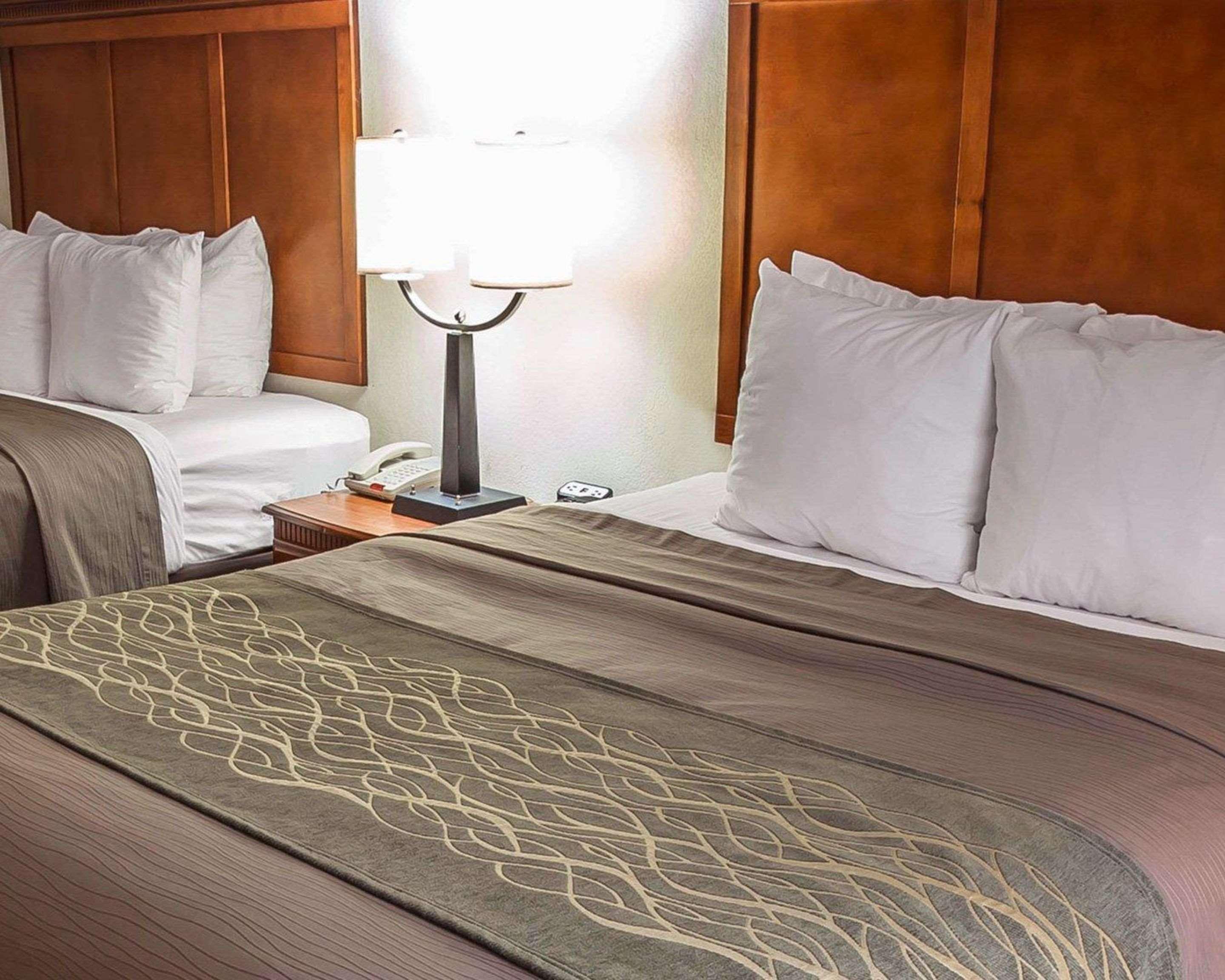 Comfort Inn & Suites Rogersville Zewnętrze zdjęcie